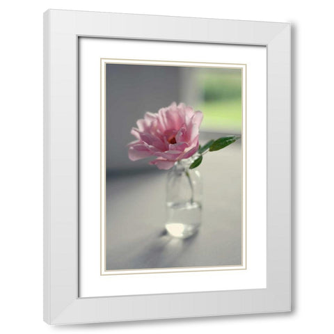 Evening Blooms White Modern Wood Framed Art Print with Double Matting by Gardner, Sarah