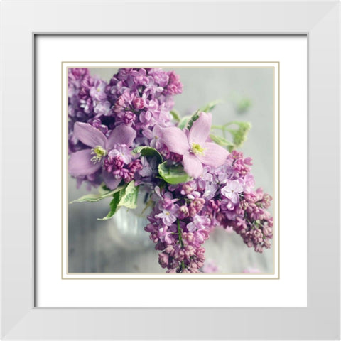 Fresh Morning Bloom White Modern Wood Framed Art Print with Double Matting by Gardner, Sarah