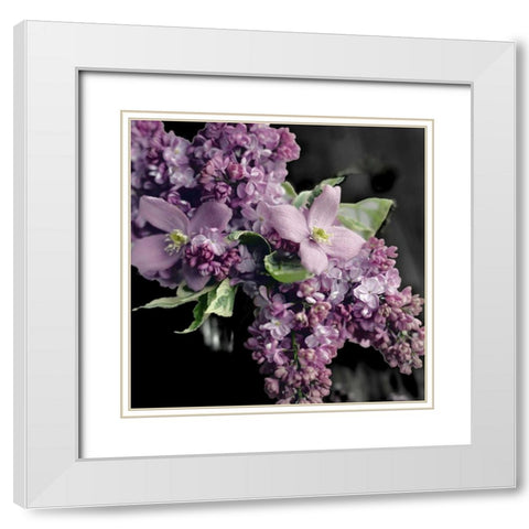 Fresh Evening Bloom White Modern Wood Framed Art Print with Double Matting by Gardner, Sarah