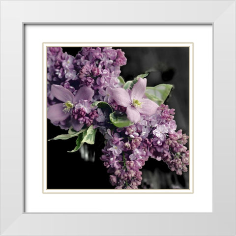 Fresh Evening Bloom White Modern Wood Framed Art Print with Double Matting by Gardner, Sarah