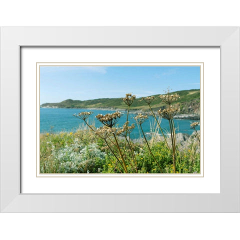 Far Away In The Breeze White Modern Wood Framed Art Print with Double Matting by Gardner, Sarah