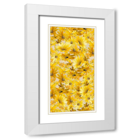 Daisy Pattern White Modern Wood Framed Art Print with Double Matting by Loreth, Lanie