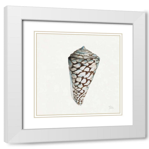 Modern Shell with Teal II White Modern Wood Framed Art Print with Double Matting by Pinto, Patricia