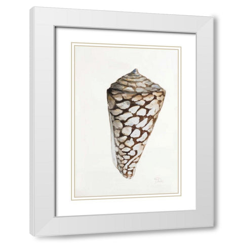 Modern Shell II White Modern Wood Framed Art Print with Double Matting by Pinto, Patricia