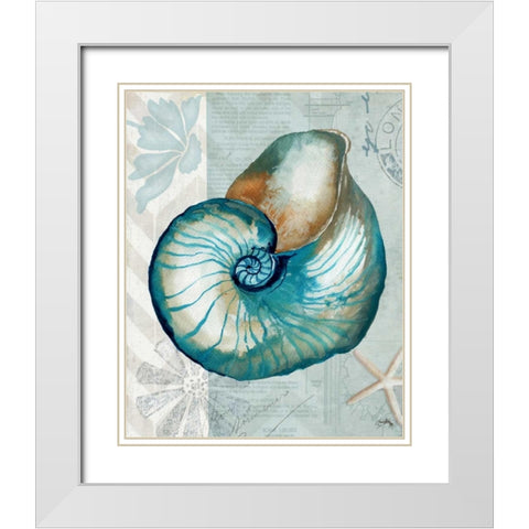 Nautical World III White Modern Wood Framed Art Print with Double Matting by Medley, Elizabeth