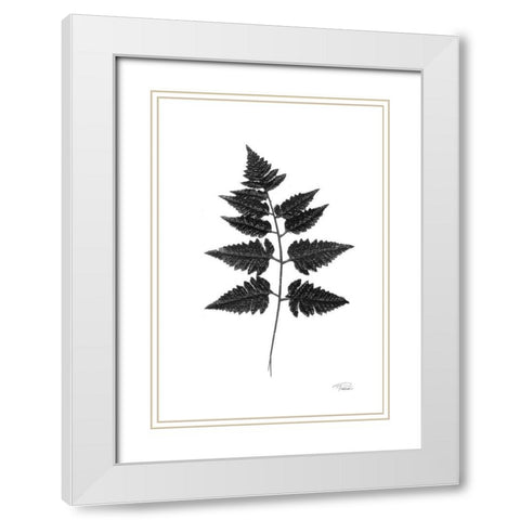Black Pressed Leaves White Modern Wood Framed Art Print with Double Matting by Pattinian, Merri