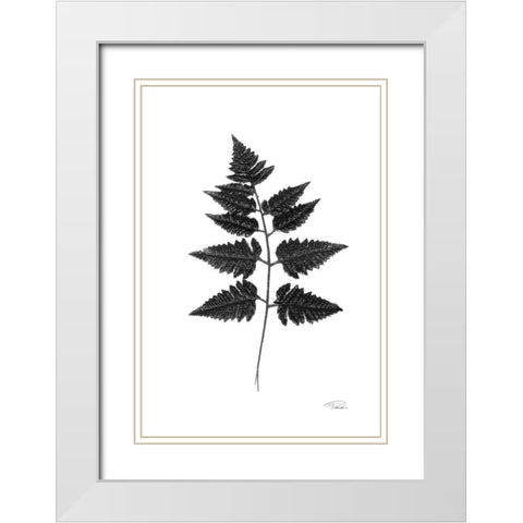 Black Pressed Leaves White Modern Wood Framed Art Print with Double Matting by Pattinian, Merri