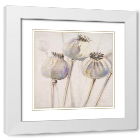 Poppy Seeds I White Modern Wood Framed Art Print with Double Matting by Pinto, Patricia