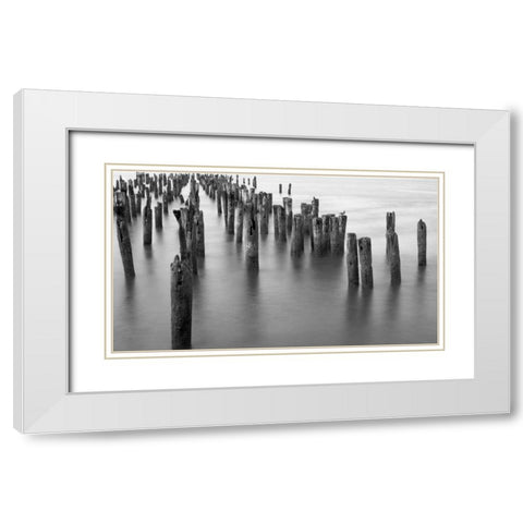 Hudson River Pilings White Modern Wood Framed Art Print with Double Matting by Bill Carson Photography