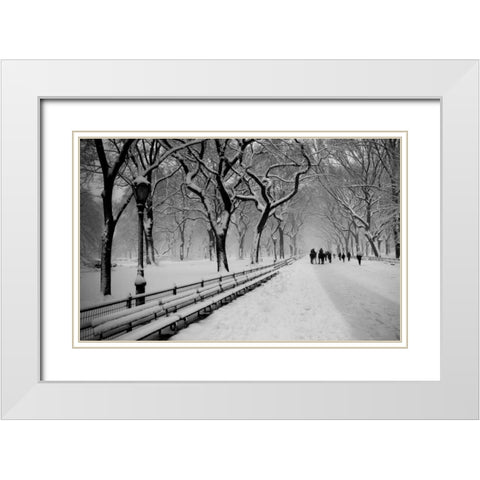Central Park Snow White Modern Wood Framed Art Print with Double Matting by Bill Carson Photography