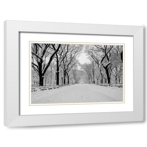 The Mall Washington DC White Modern Wood Framed Art Print with Double Matting by Bill Carson Photography