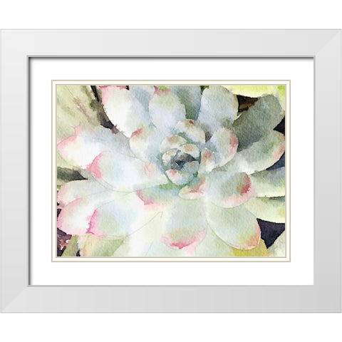 Watercolor Succulent White Modern Wood Framed Art Print with Double Matting by James, Nola