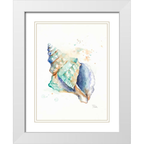 Blue Shell White Modern Wood Framed Art Print with Double Matting by Pinto, Patricia