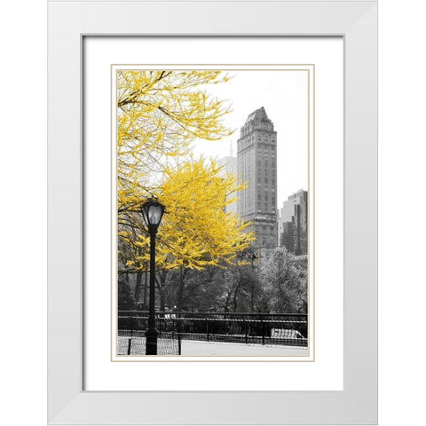 Central Park with Yellow Tree White Modern Wood Framed Art Print with Double Matting by Navas, Emily