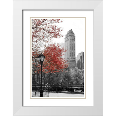 Central Park with Red Tree White Modern Wood Framed Art Print with Double Matting by Navas, Emily