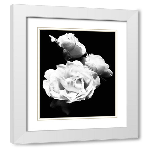 Dramatic Love Blooms  I White Modern Wood Framed Art Print with Double Matting by Navas, Emily