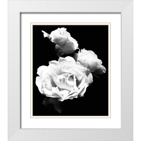 Dramatic Love Blooms  I White Modern Wood Framed Art Print with Double Matting by Navas, Emily