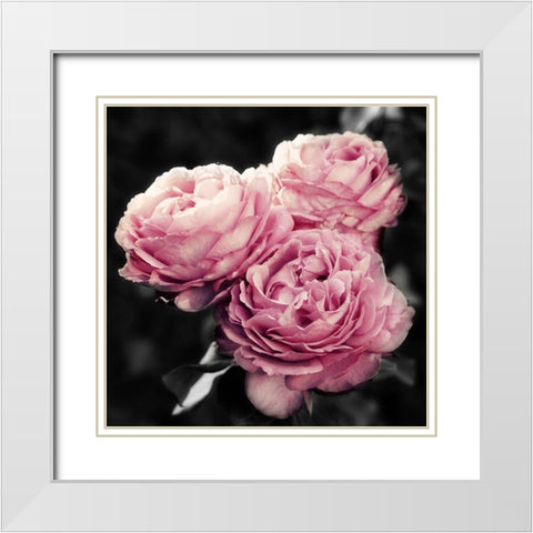 Pink Florals in Noir White Modern Wood Framed Art Print with Double Matting by Navas, Emily