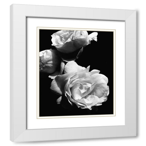 Dramatic Love Blooms II White Modern Wood Framed Art Print with Double Matting by Navas, Emily