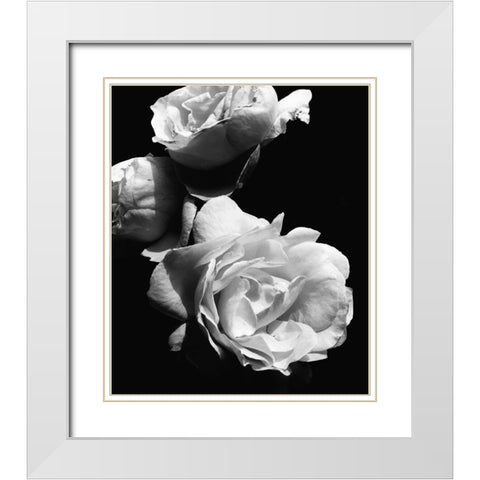 Dramatic Love Blooms II White Modern Wood Framed Art Print with Double Matting by Navas, Emily
