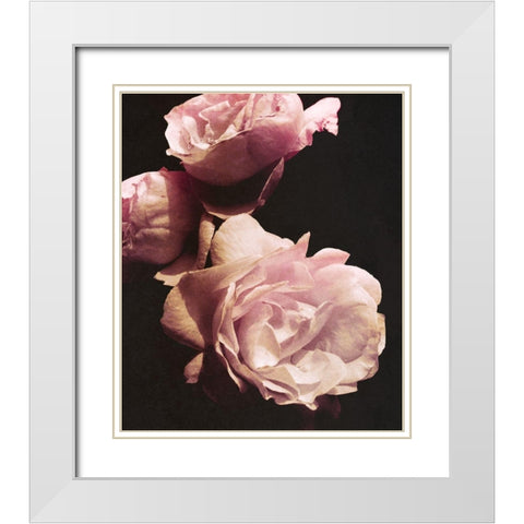 Solitary Bouquet II White Modern Wood Framed Art Print with Double Matting by Navas, Emily