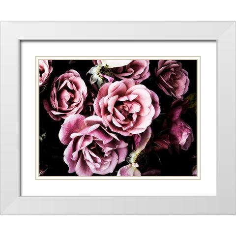 Baroque Roses White Modern Wood Framed Art Print with Double Matting by Navas, Emily