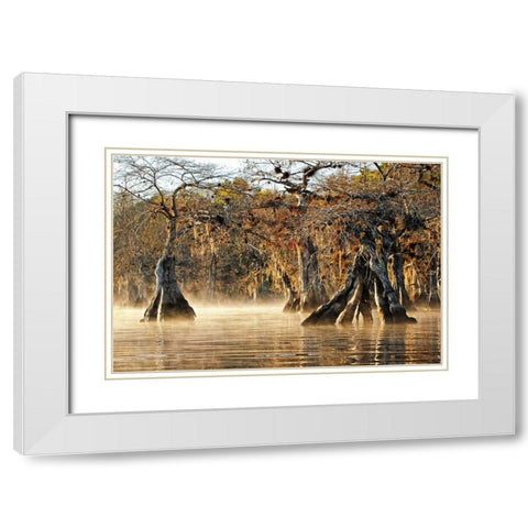 Cypress Creek I White Modern Wood Framed Art Print with Double Matting by Nawrocke, Bruce