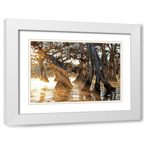 Cypress Creek II White Modern Wood Framed Art Print with Double Matting by Nawrocke, Bruce