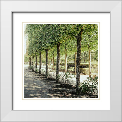 Parisian Stroll I White Modern Wood Framed Art Print with Double Matting by Navas, Emily