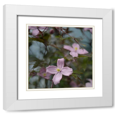 Springtime I White Modern Wood Framed Art Print with Double Matting by Gardner, Sarah