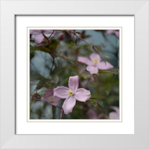 Springtime I White Modern Wood Framed Art Print with Double Matting by Gardner, Sarah