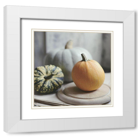 Time For Fall White Modern Wood Framed Art Print with Double Matting by Gardner, Sarah