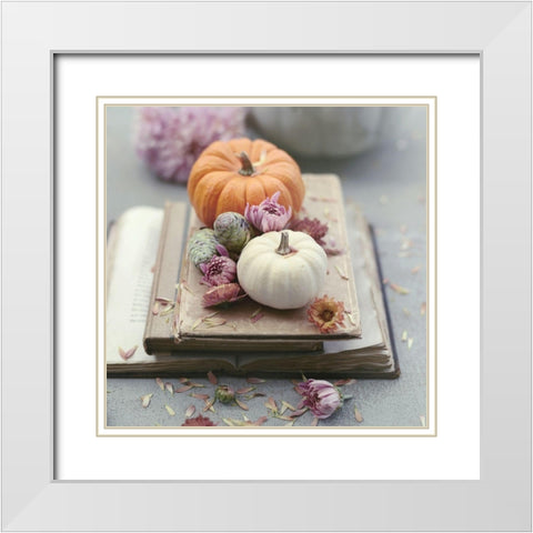 Florals In Fall White Modern Wood Framed Art Print with Double Matting by Gardner, Sarah