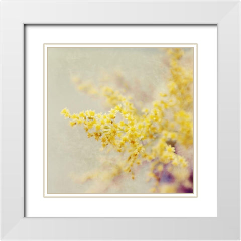 Yellow Blooms in Spring White Modern Wood Framed Art Print with Double Matting by Gardner, Sarah