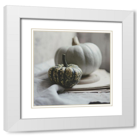 Fall Bunches White Modern Wood Framed Art Print with Double Matting by Gardner, Sarah