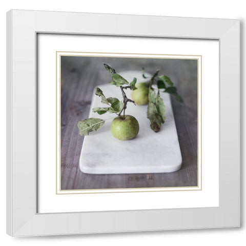 Growth Begins White Modern Wood Framed Art Print with Double Matting by Gardner, Sarah
