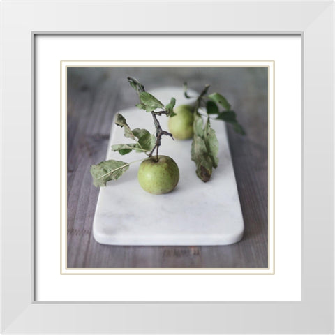 Growth Begins White Modern Wood Framed Art Print with Double Matting by Gardner, Sarah
