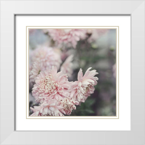 Evening Blooms White Modern Wood Framed Art Print with Double Matting by Gardner, Sarah