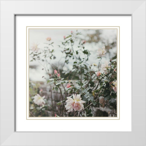 Spring Views White Modern Wood Framed Art Print with Double Matting by Gardner, Sarah