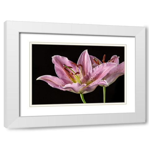 Lombardia White Modern Wood Framed Art Print with Double Matting by Lake, Shelley