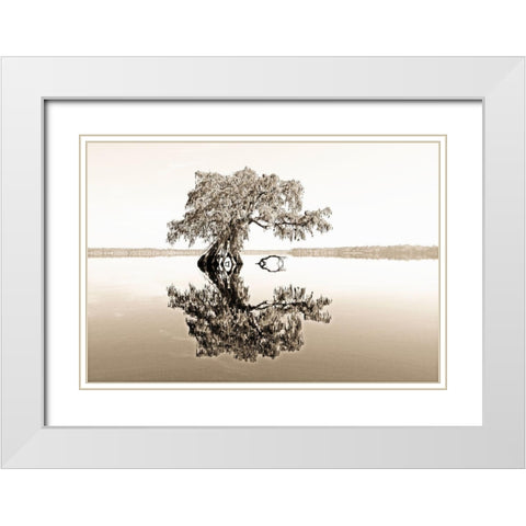 Reflective View White Modern Wood Framed Art Print with Double Matting by Nawrocke, Bruce