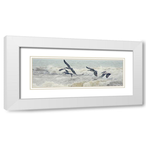 Pelican Panel I White Modern Wood Framed Art Print with Double Matting by Nawrocke, Bruce