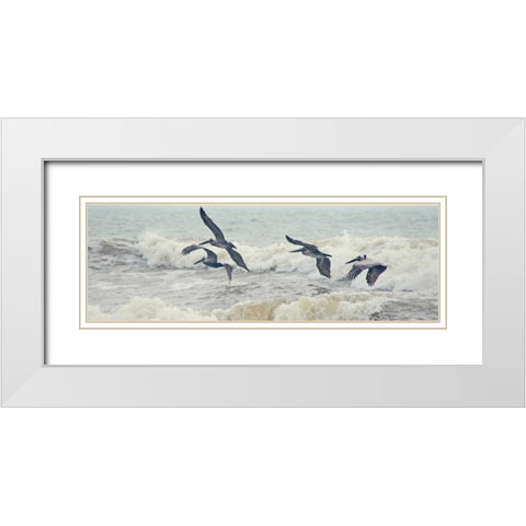 Pelican Panel I White Modern Wood Framed Art Print with Double Matting by Nawrocke, Bruce