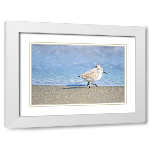 Walk Along The Coast White Modern Wood Framed Art Print with Double Matting by Nawrocke, Bruce