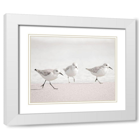 Side by Side White Modern Wood Framed Art Print with Double Matting by Nawrocke, Bruce