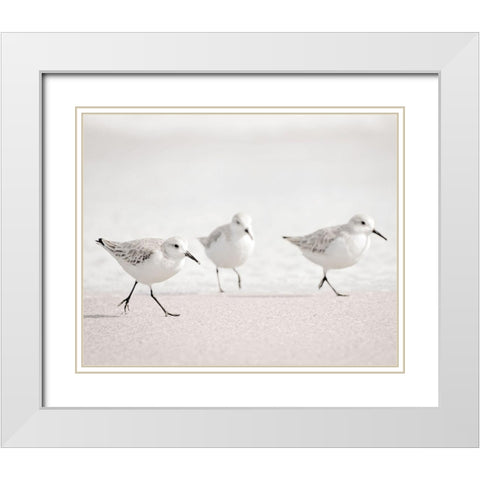 Side by Side White Modern Wood Framed Art Print with Double Matting by Nawrocke, Bruce