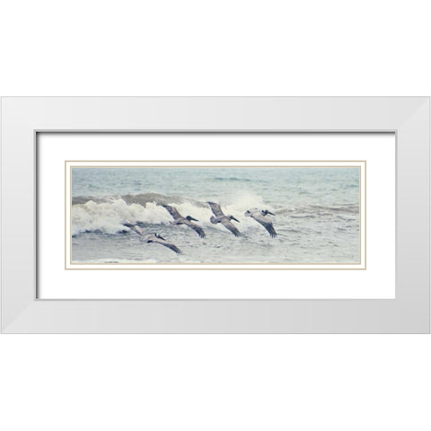Pelican Panel II White Modern Wood Framed Art Print with Double Matting by Nawrocke, Bruce