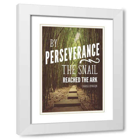 Perseverance White Modern Wood Framed Art Print with Double Matting by Nawrocke, Bruce