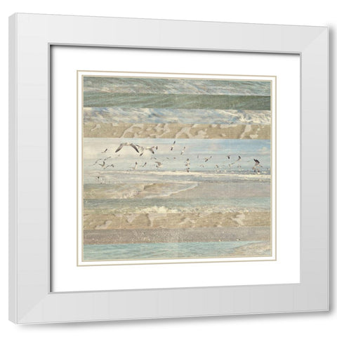 Flying Beach Birds I White Modern Wood Framed Art Print with Double Matting by Meneely, Dan