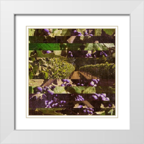 Vinecraft Horizons I White Modern Wood Framed Art Print with Double Matting by Meneely, Dan